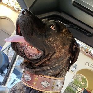 Meet your Posher, Carlos